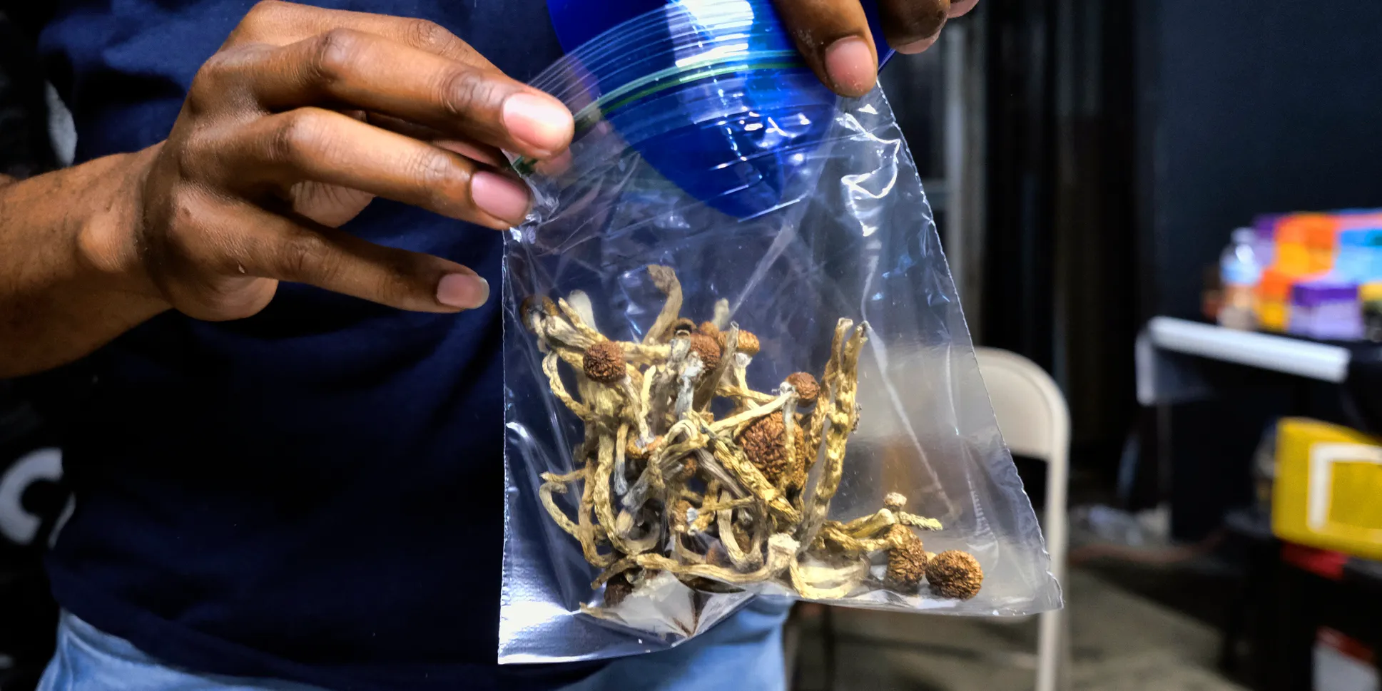 Buy psychedelic Mushrooms