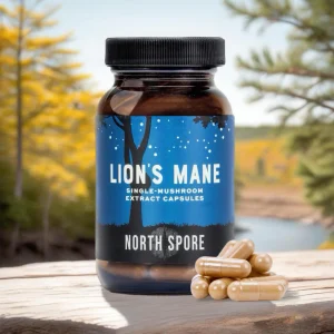 organic lion's mane mushroom capsules
