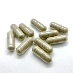 microdose: neuro (lions mane and niacin)