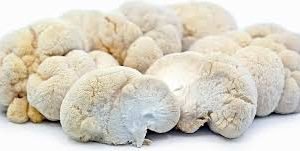 Buy Lion’s Mane mushrooms online