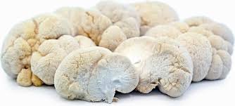 lions mane mushroom Buy Lion’s Mane mushrooms online