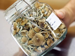 magic mushrooms store